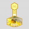 Serie Shine/Fotos Motiv Blütenhonig Blüte gelb 2D